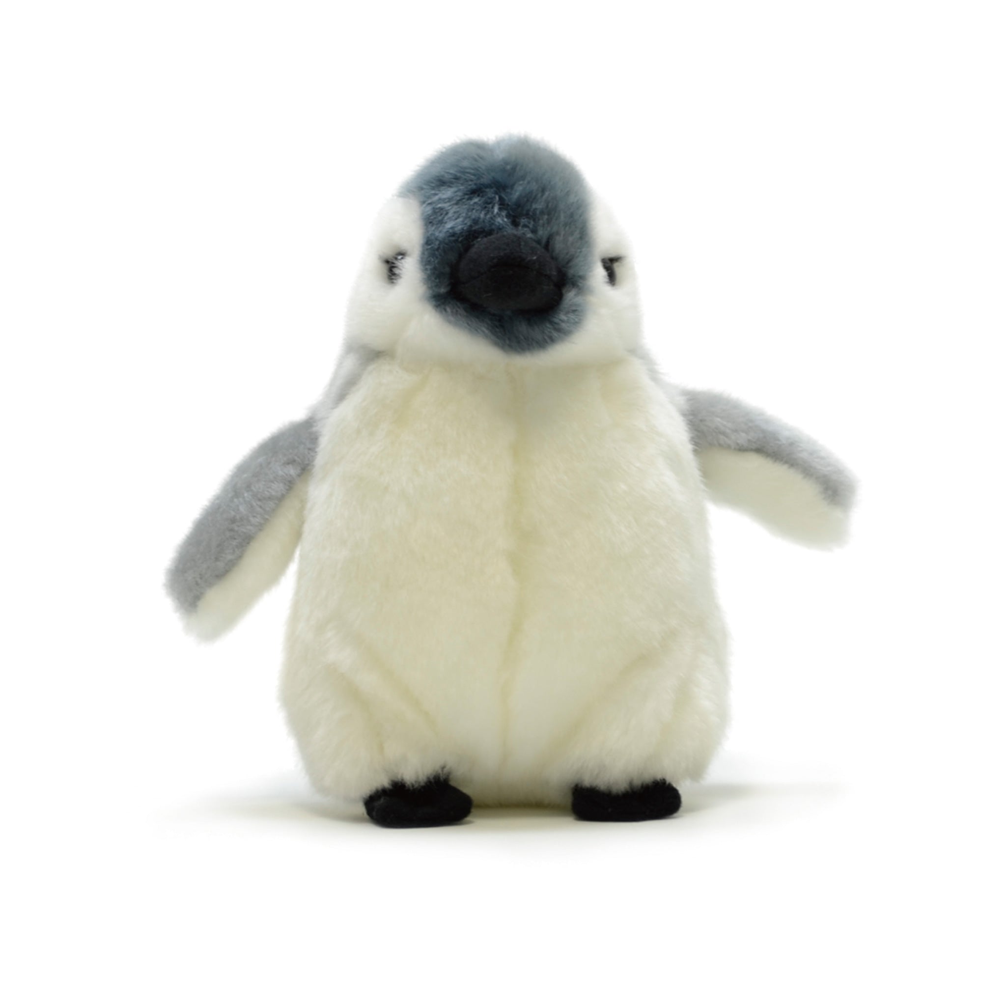 コウテイペンギンベビー