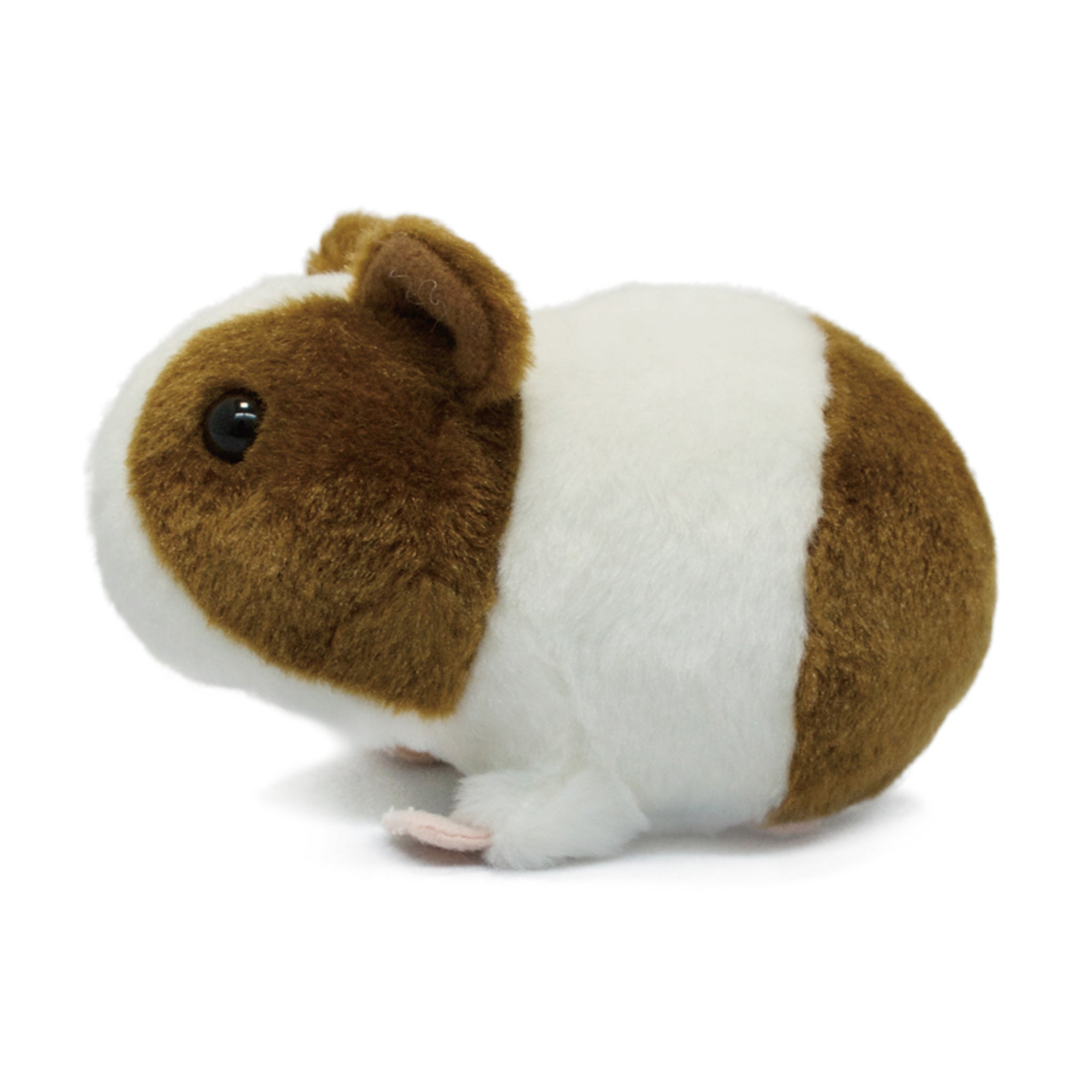 もちもちもるもっとブラウン