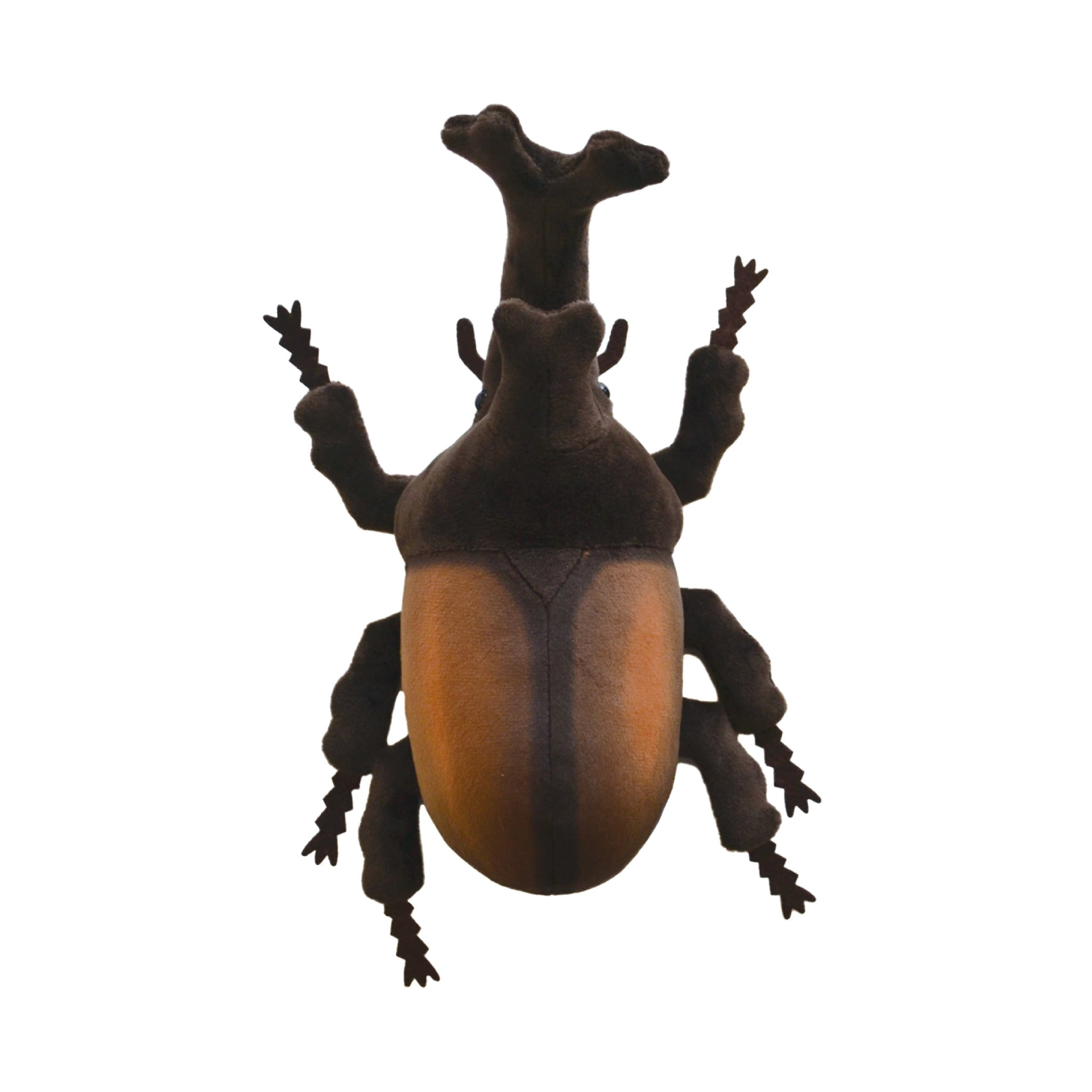 ものしり~ずカブトムシ