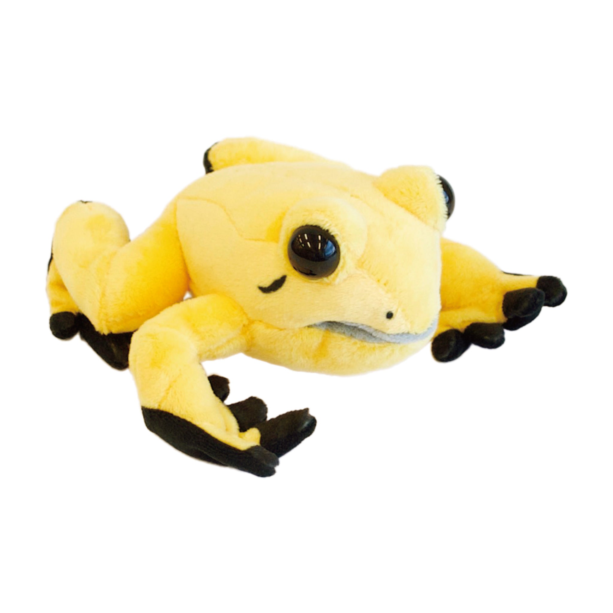 おすとパクモウドクフキヤガエル