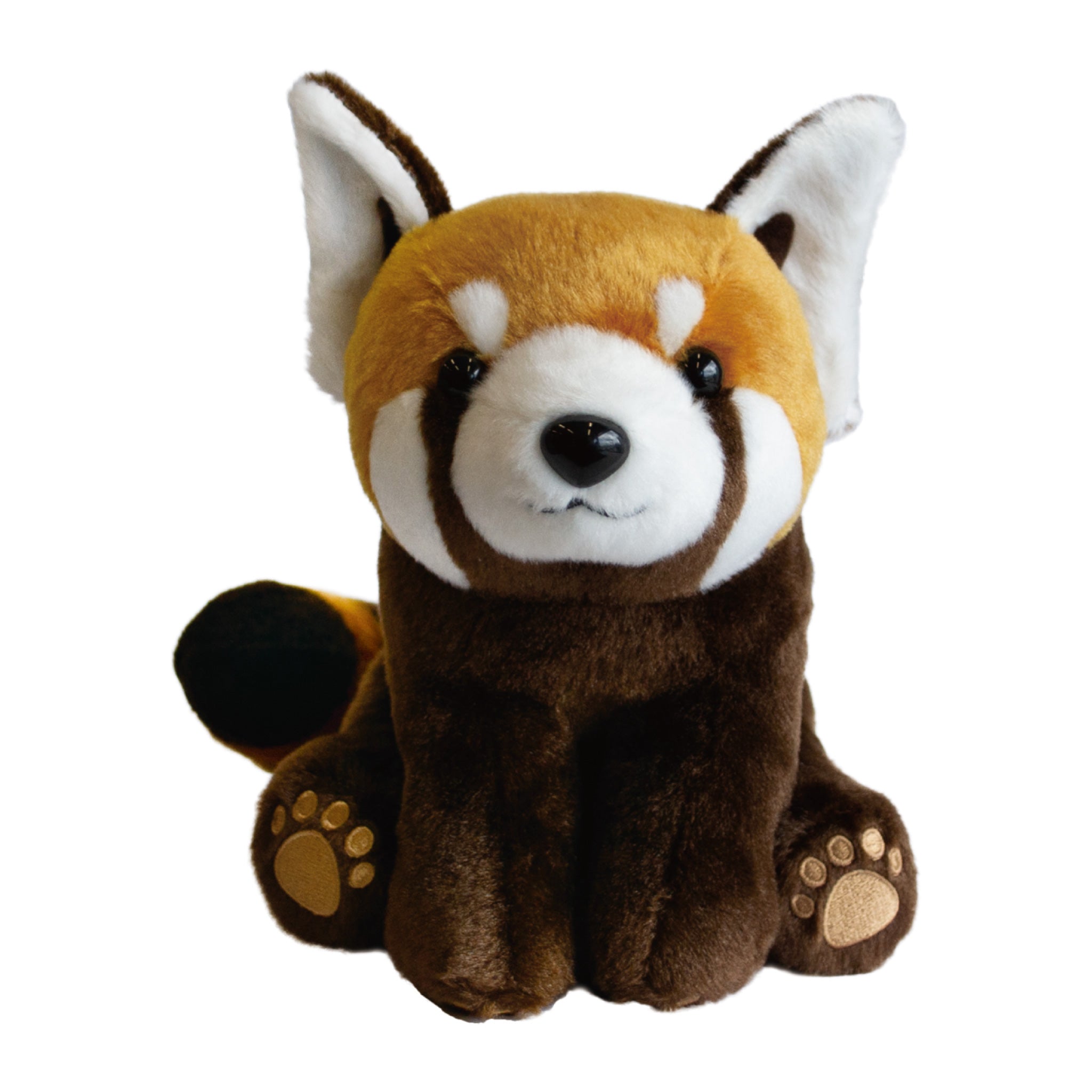 レッサーパンダ座