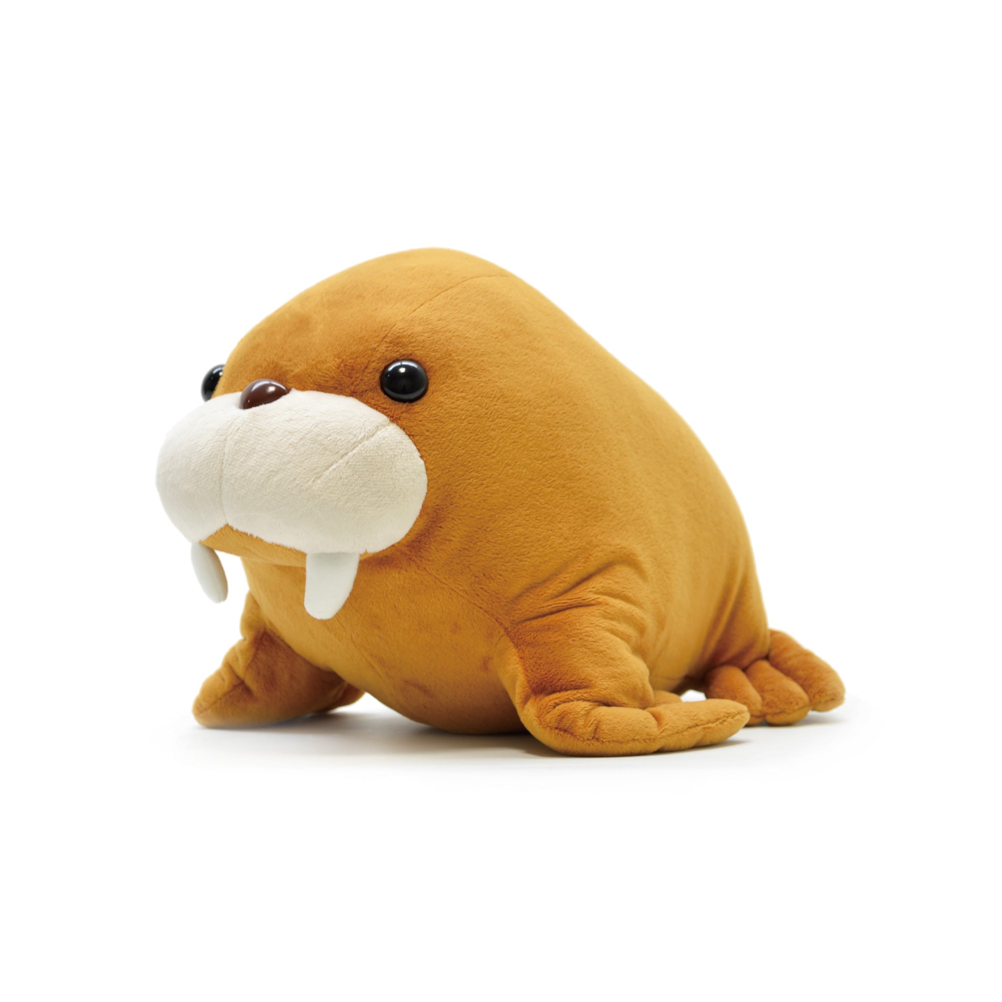 すやすやセイウチ