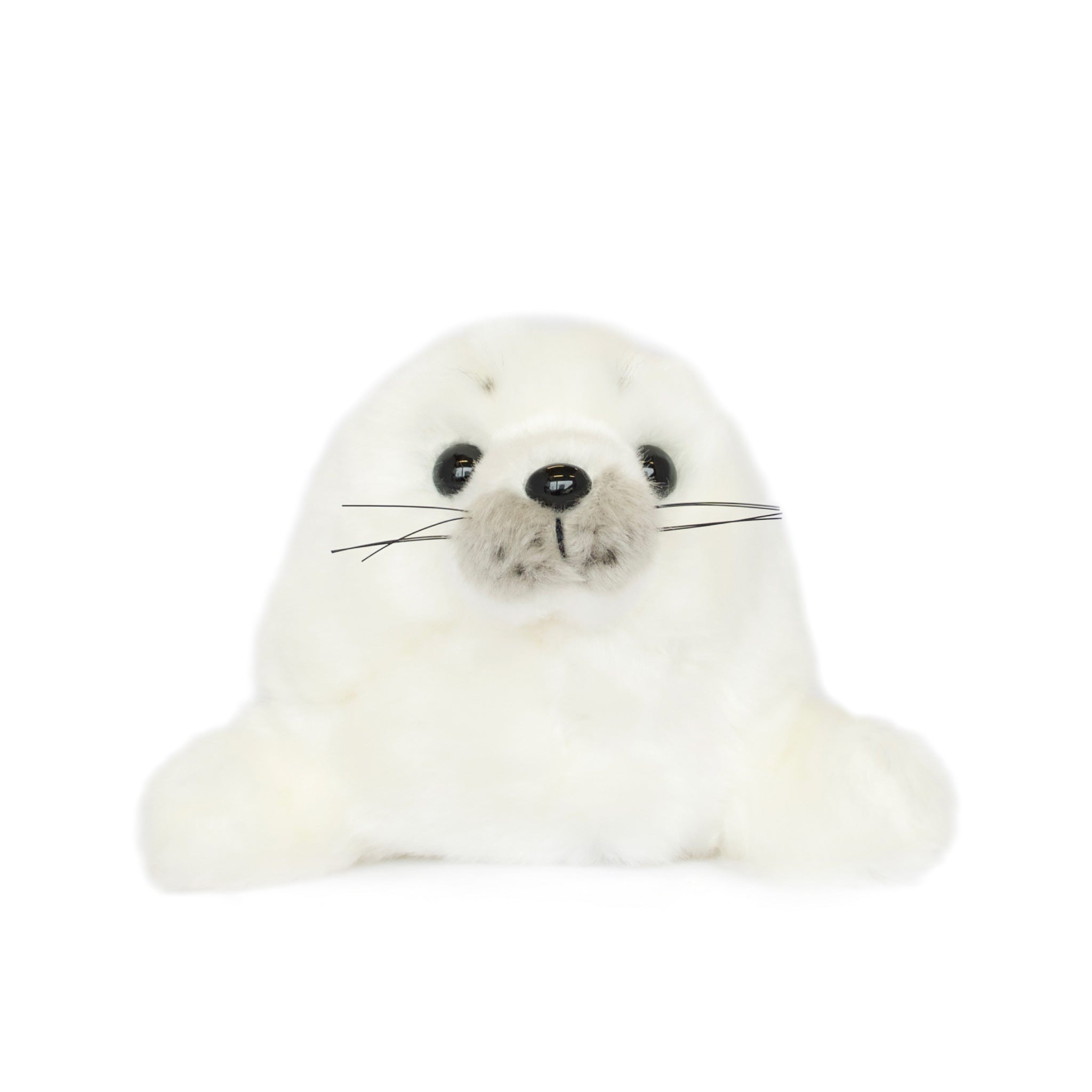 赤ちゃんアザラシ新型