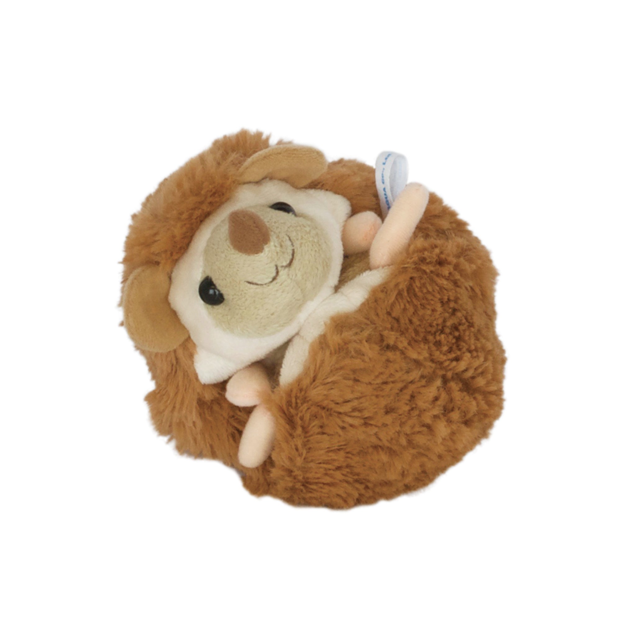 ハリネズミ