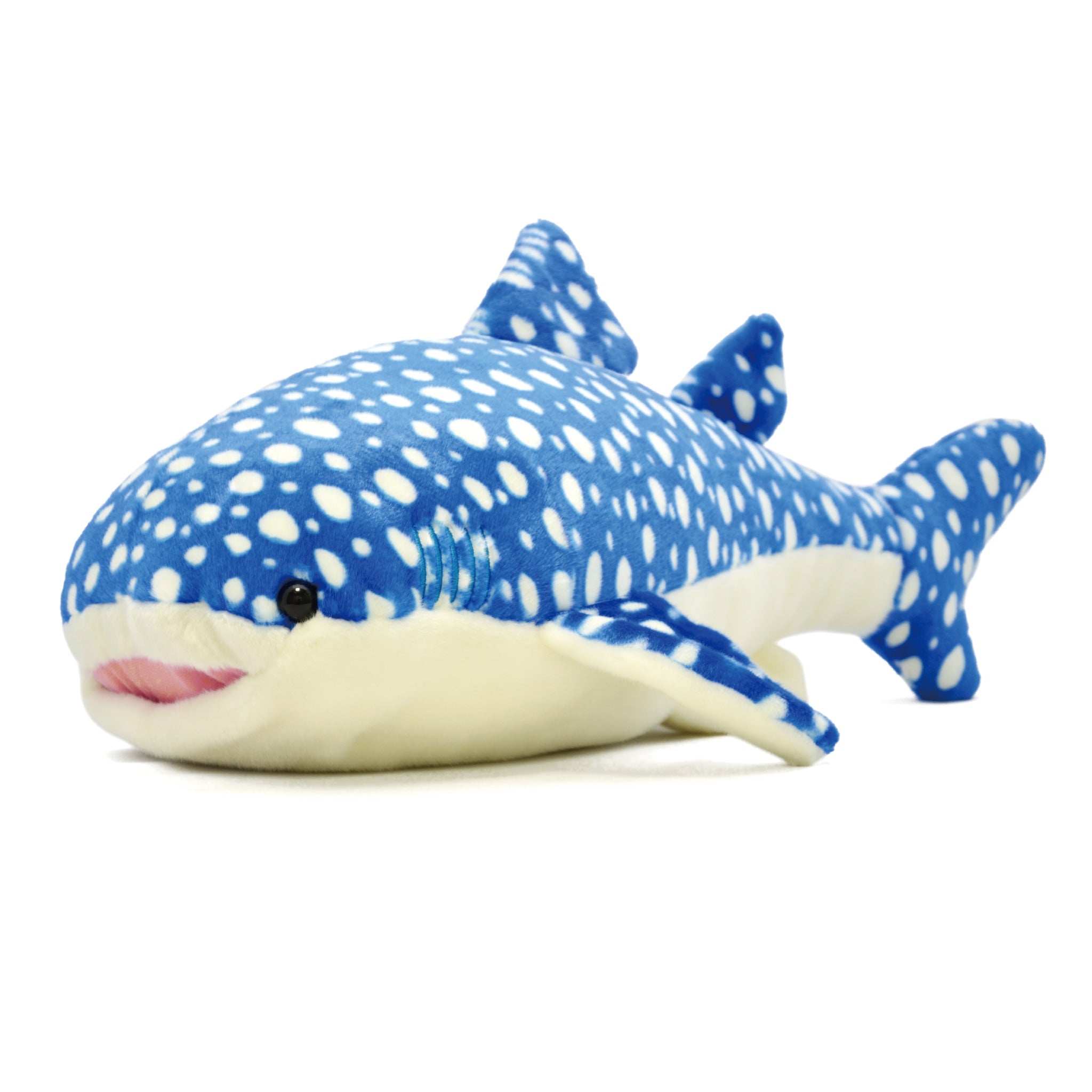 ジンベエザメ