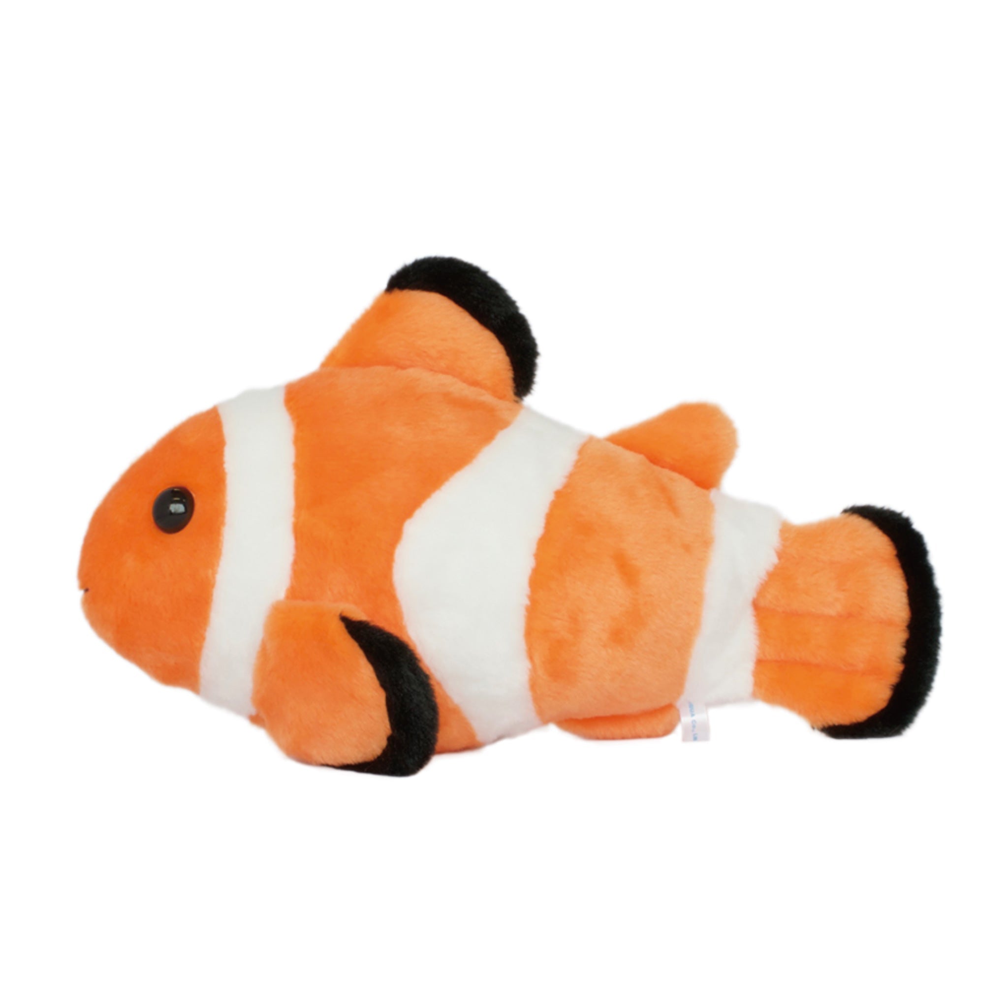 カクレクマノミ