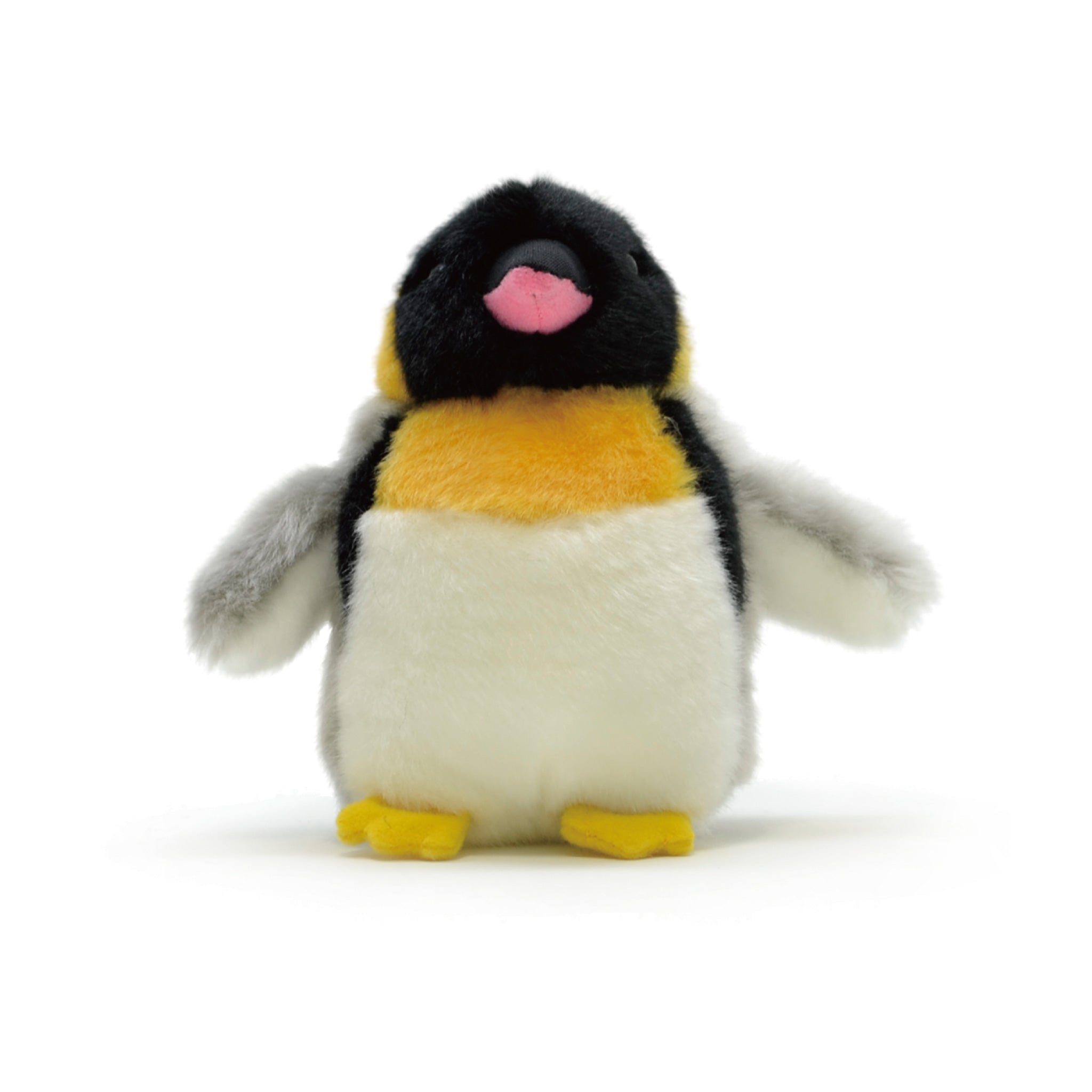 キングペンギン