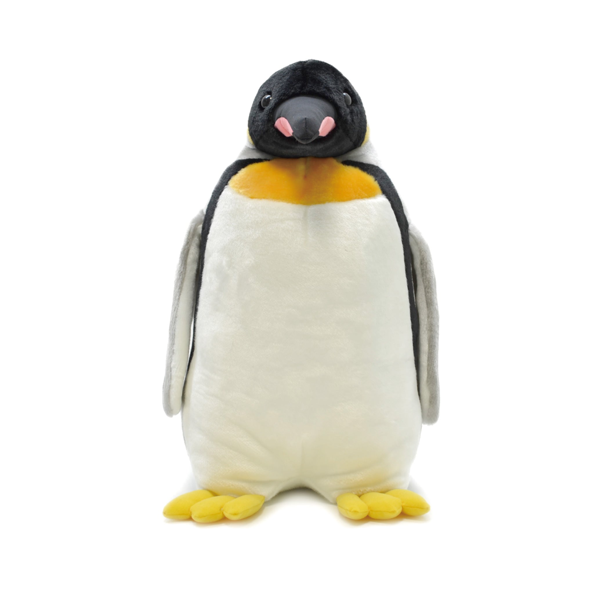 キングペンギン