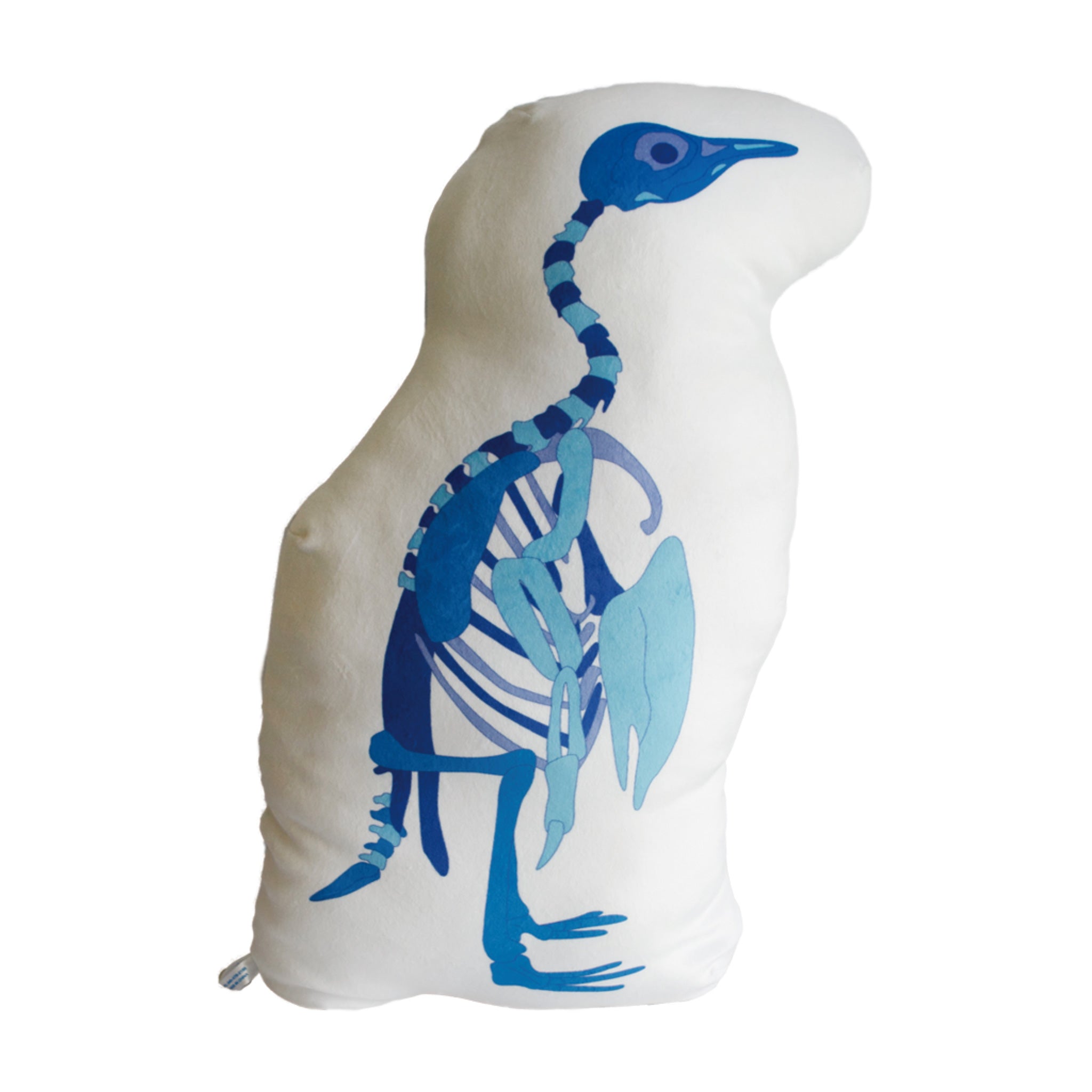 骨格標本クッションフンボルトペンギン青