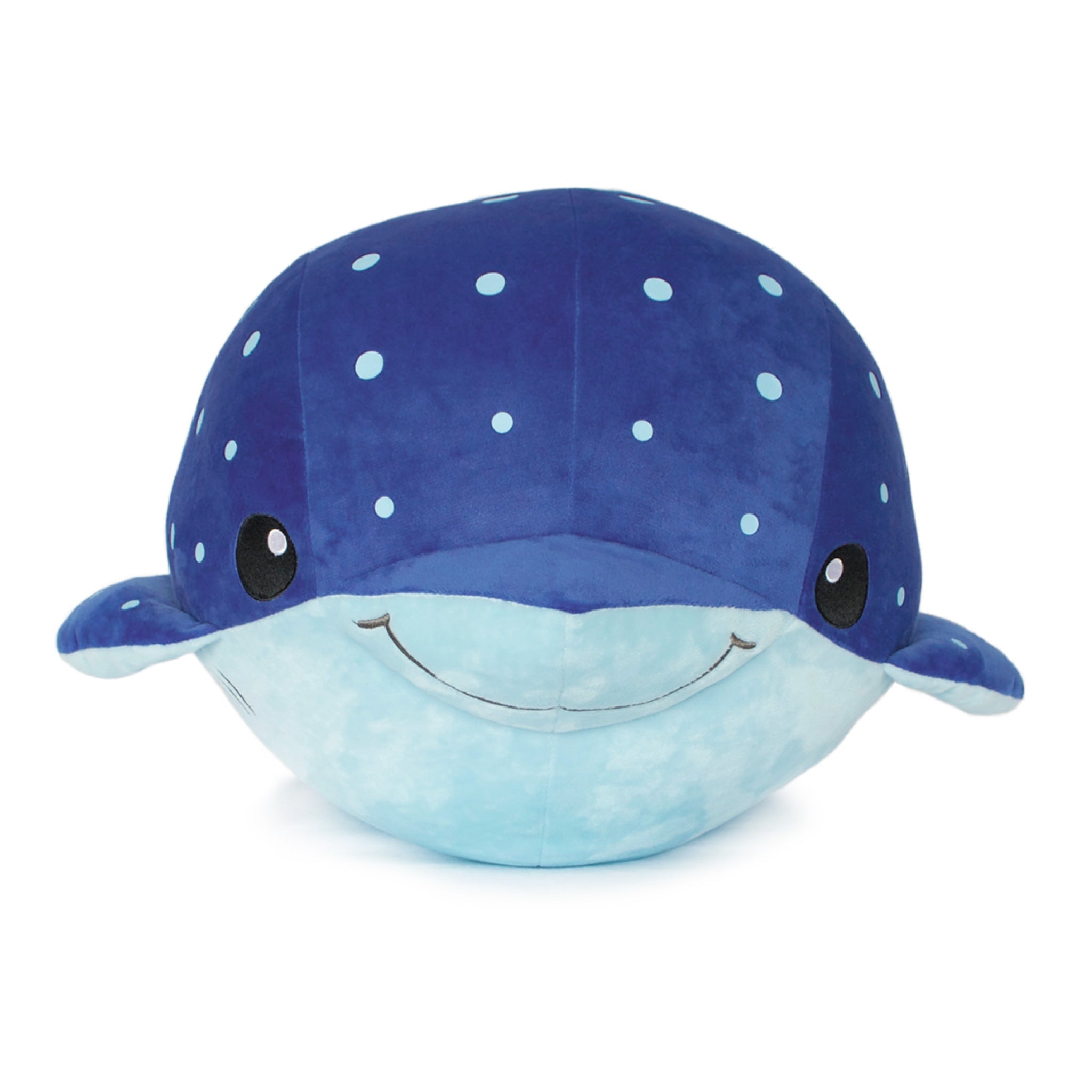 ころりんマダラトビエイ