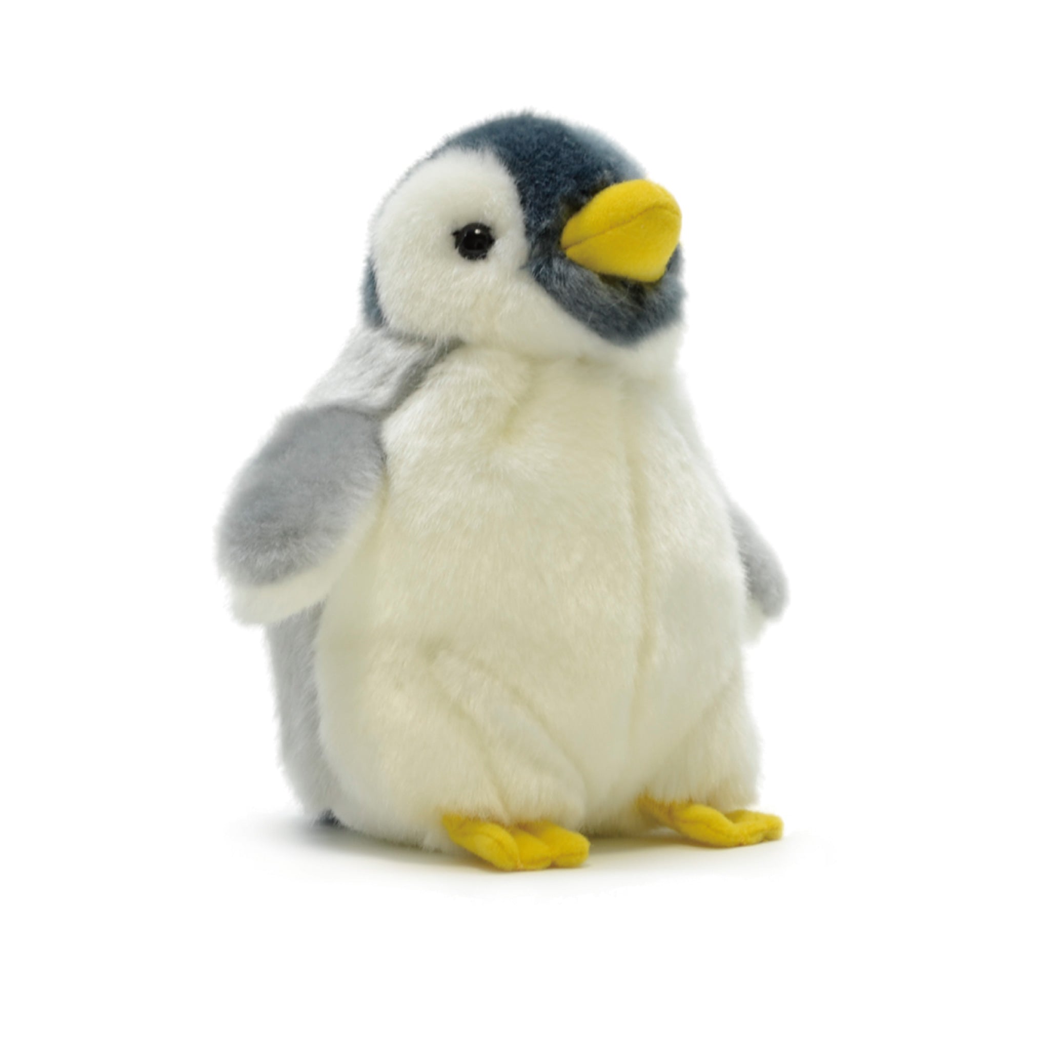 コウテイペンギンベビー