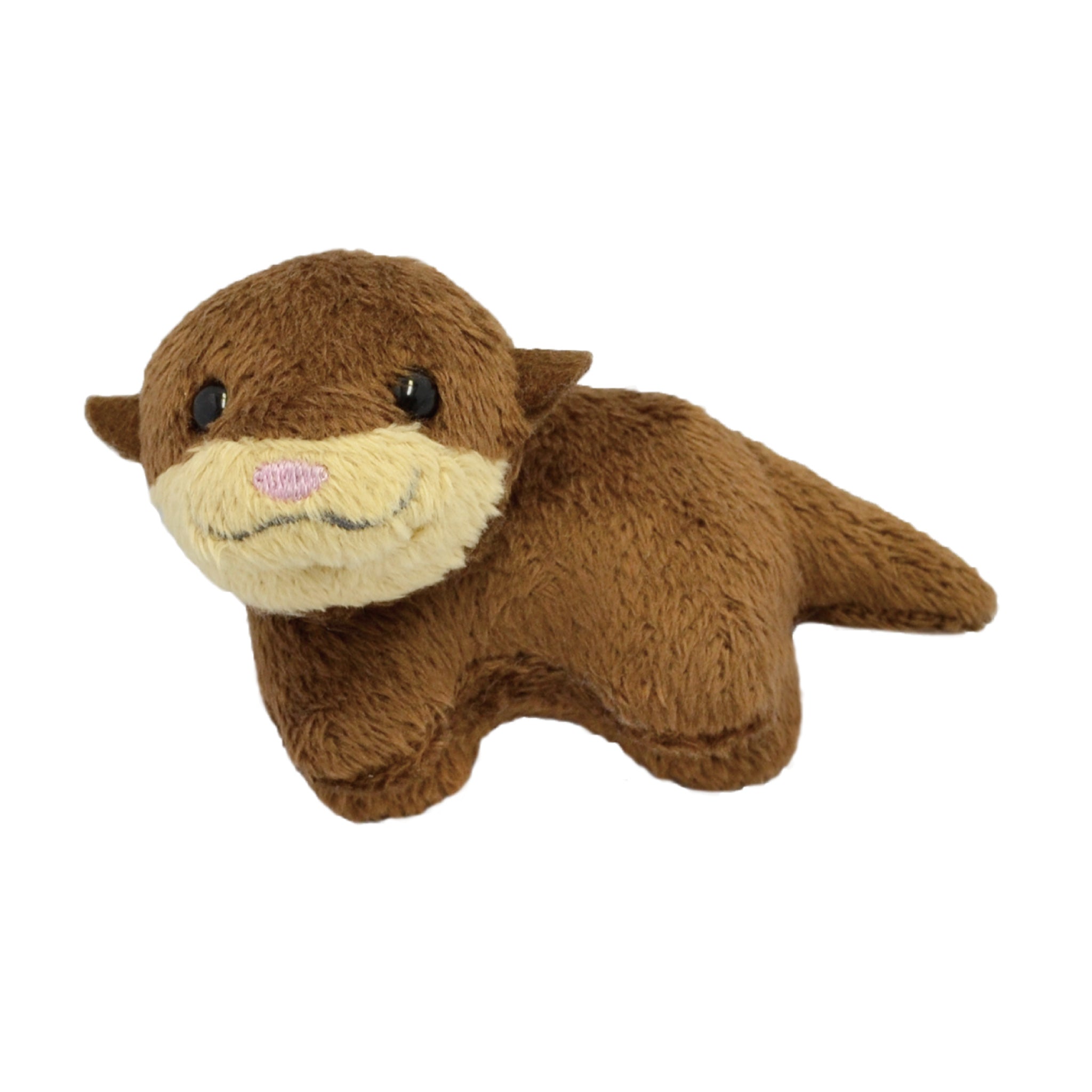 マグネランドコツメカワウソ