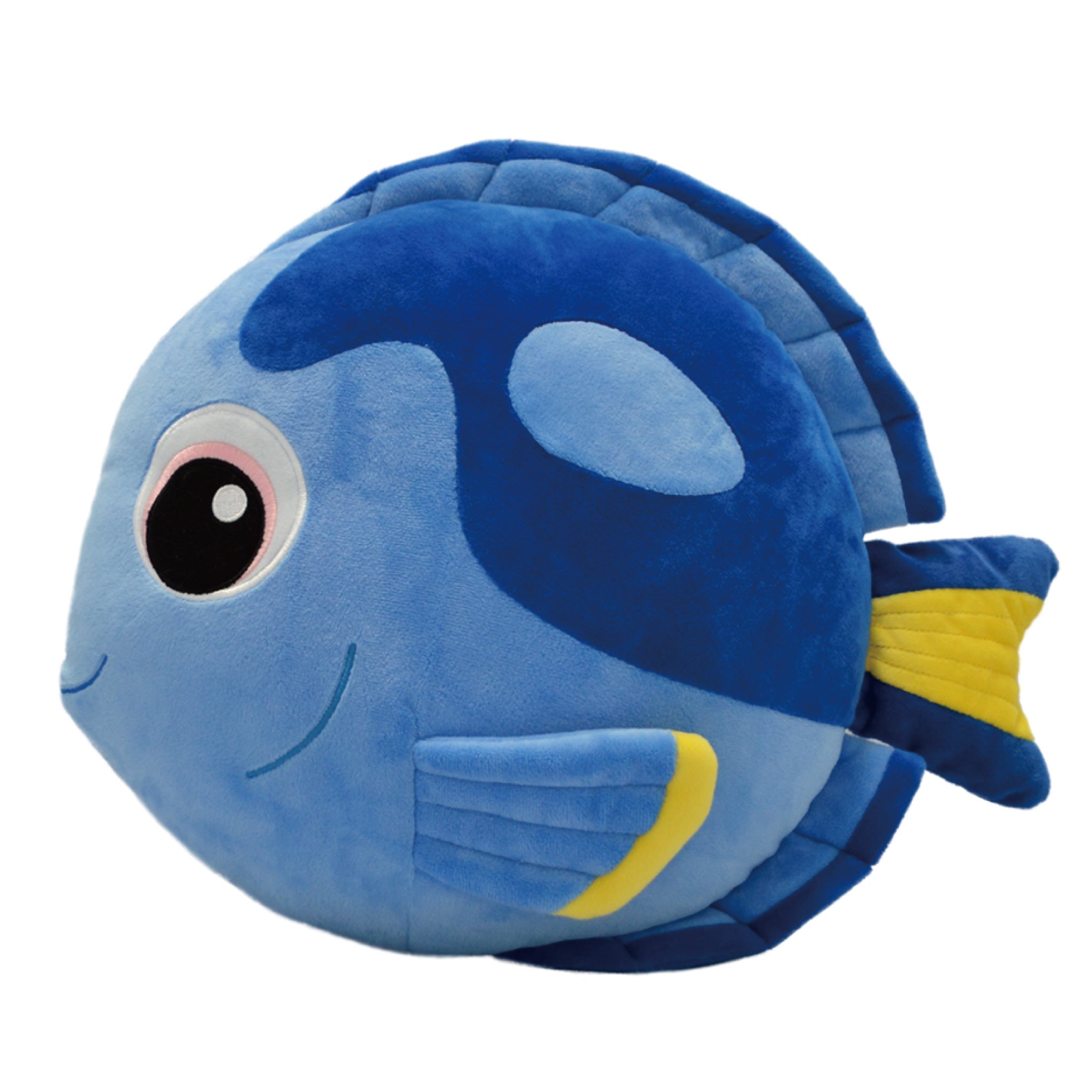 まるまるナンヨウハギくん