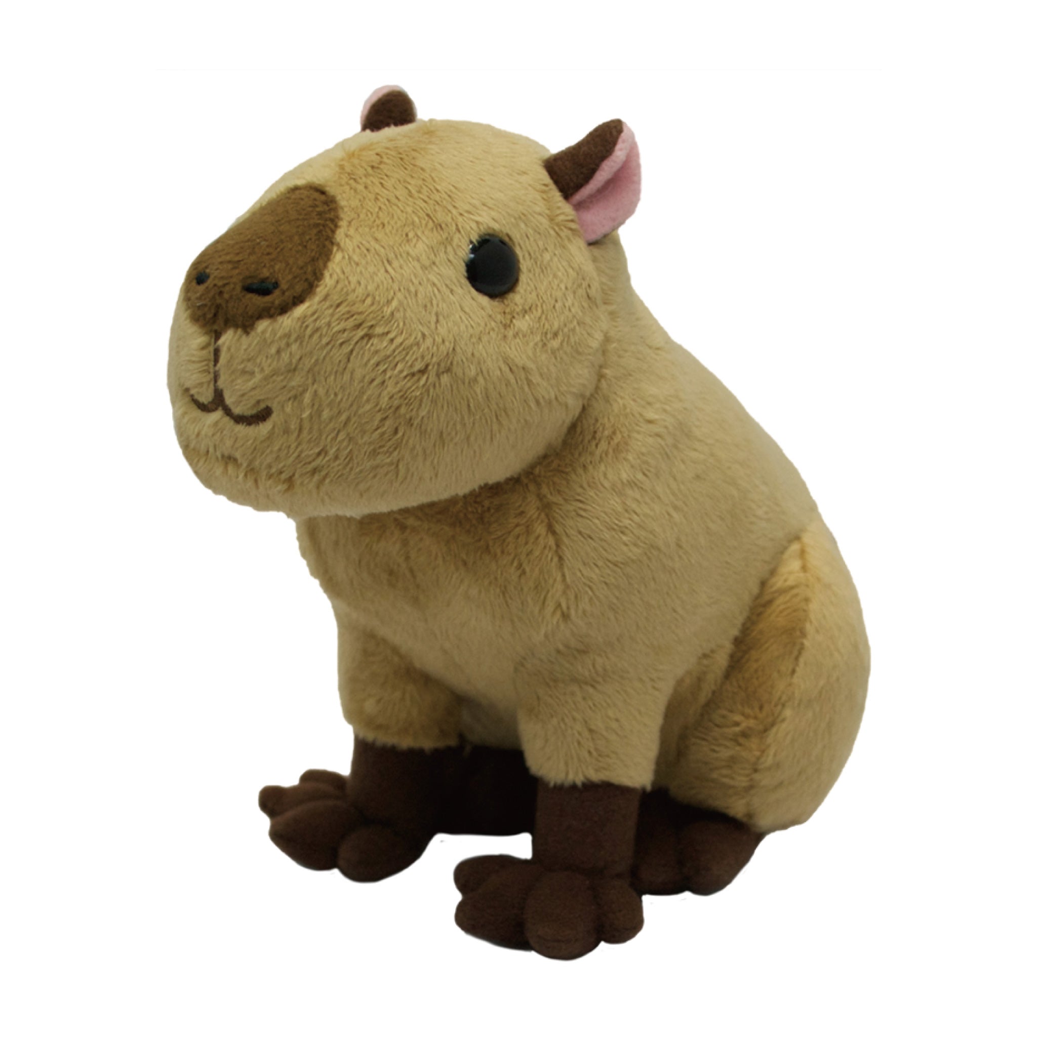 もちもちカピバラ小
