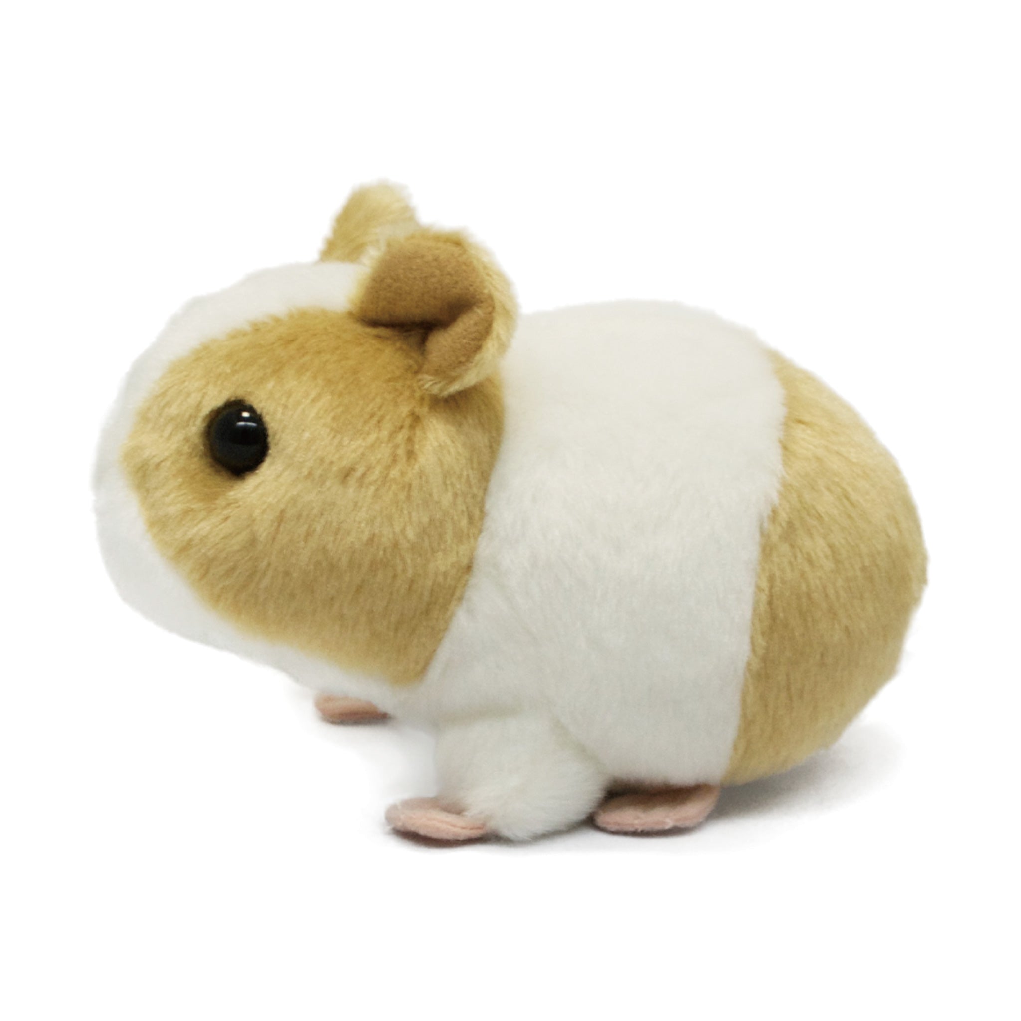 もちもちもるもっとベージュ