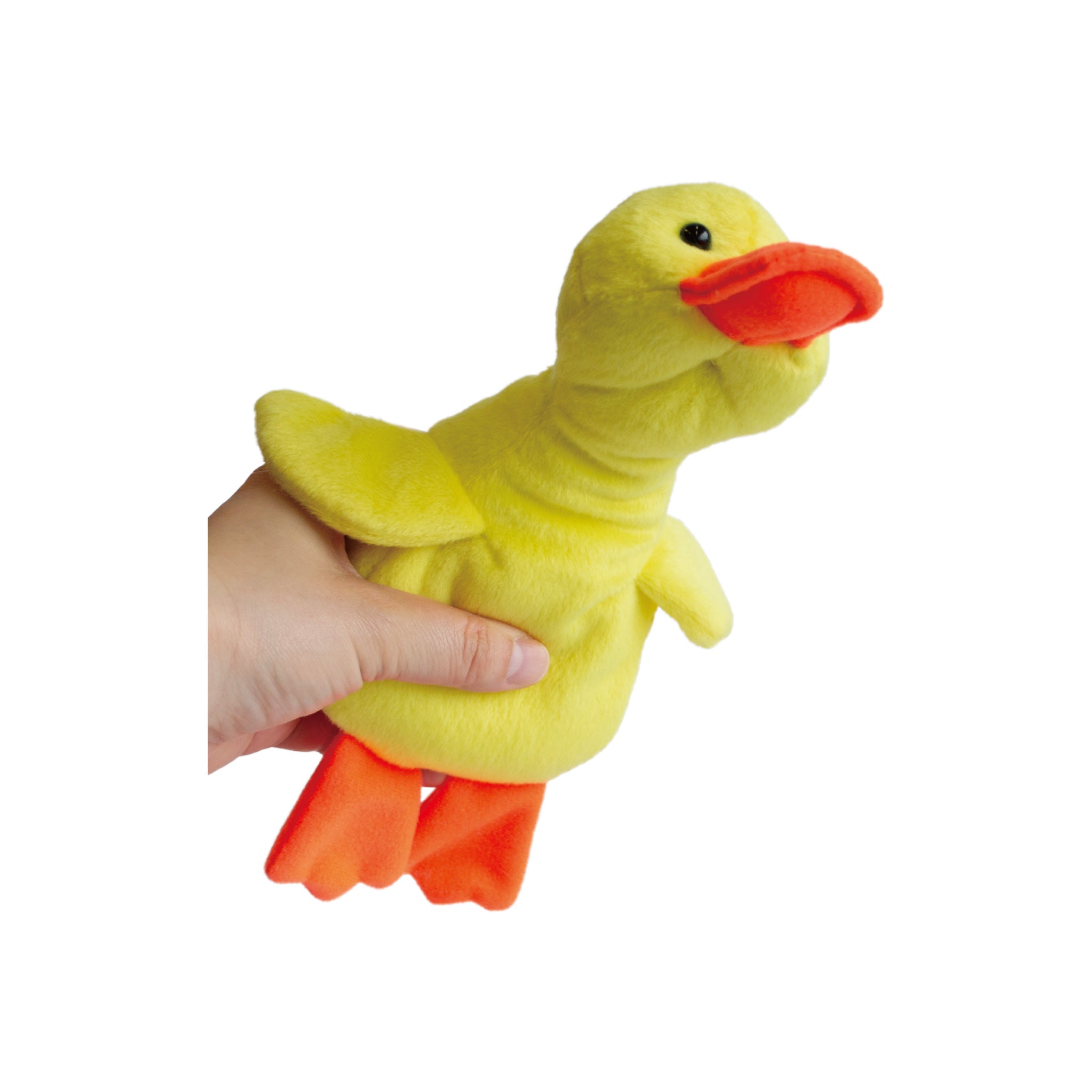 鳴きアヒル