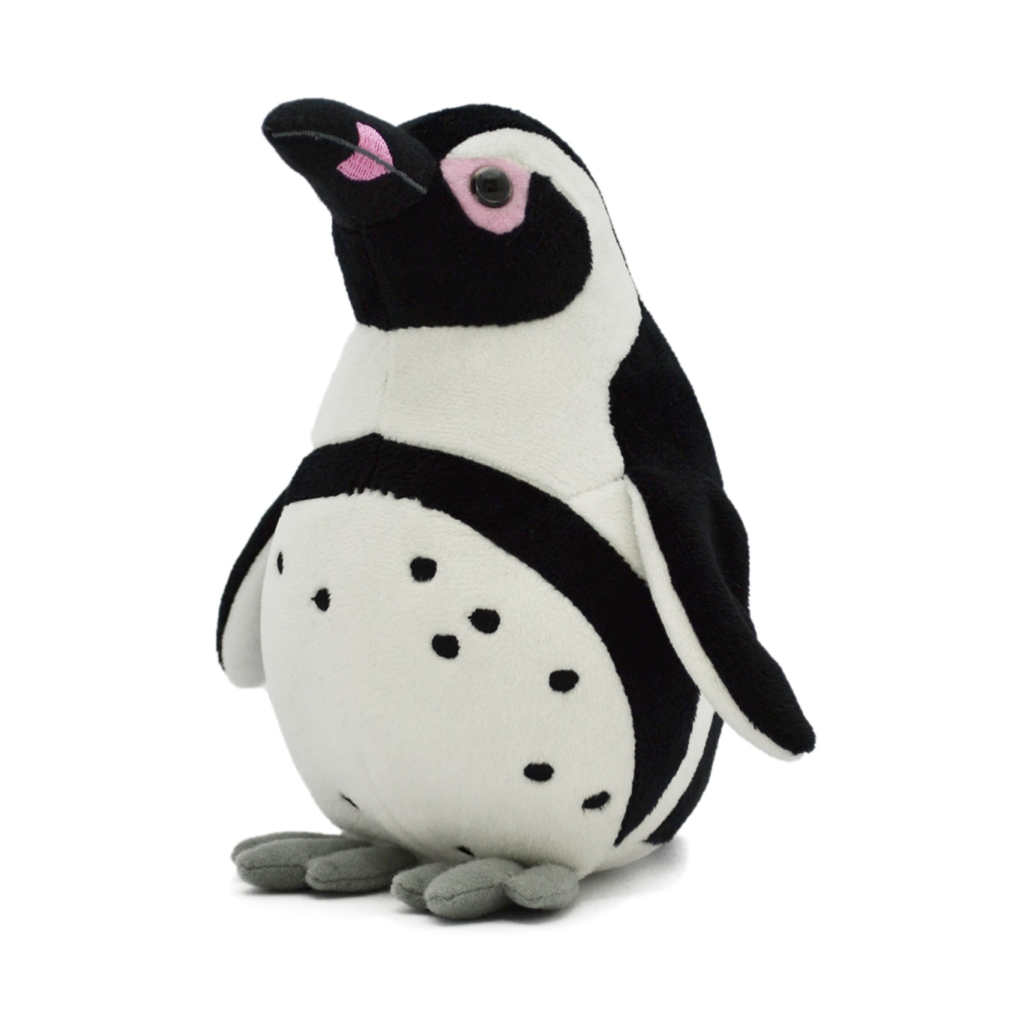 ペンギンコレクションケープペンギン