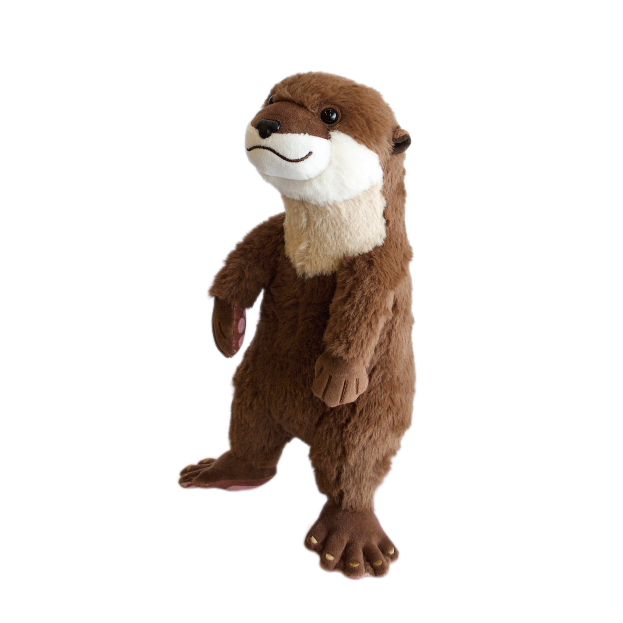 コツメカワウソ