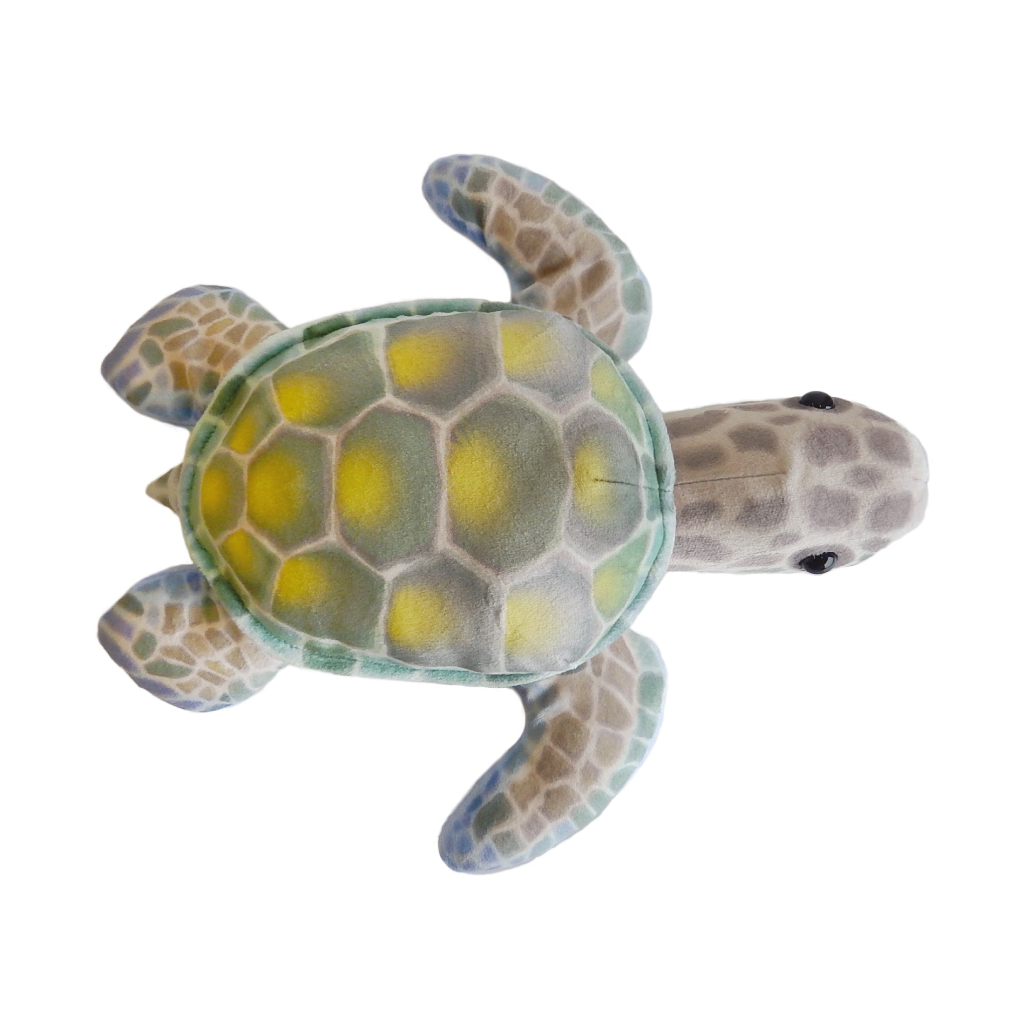 水彩画ウミガメ