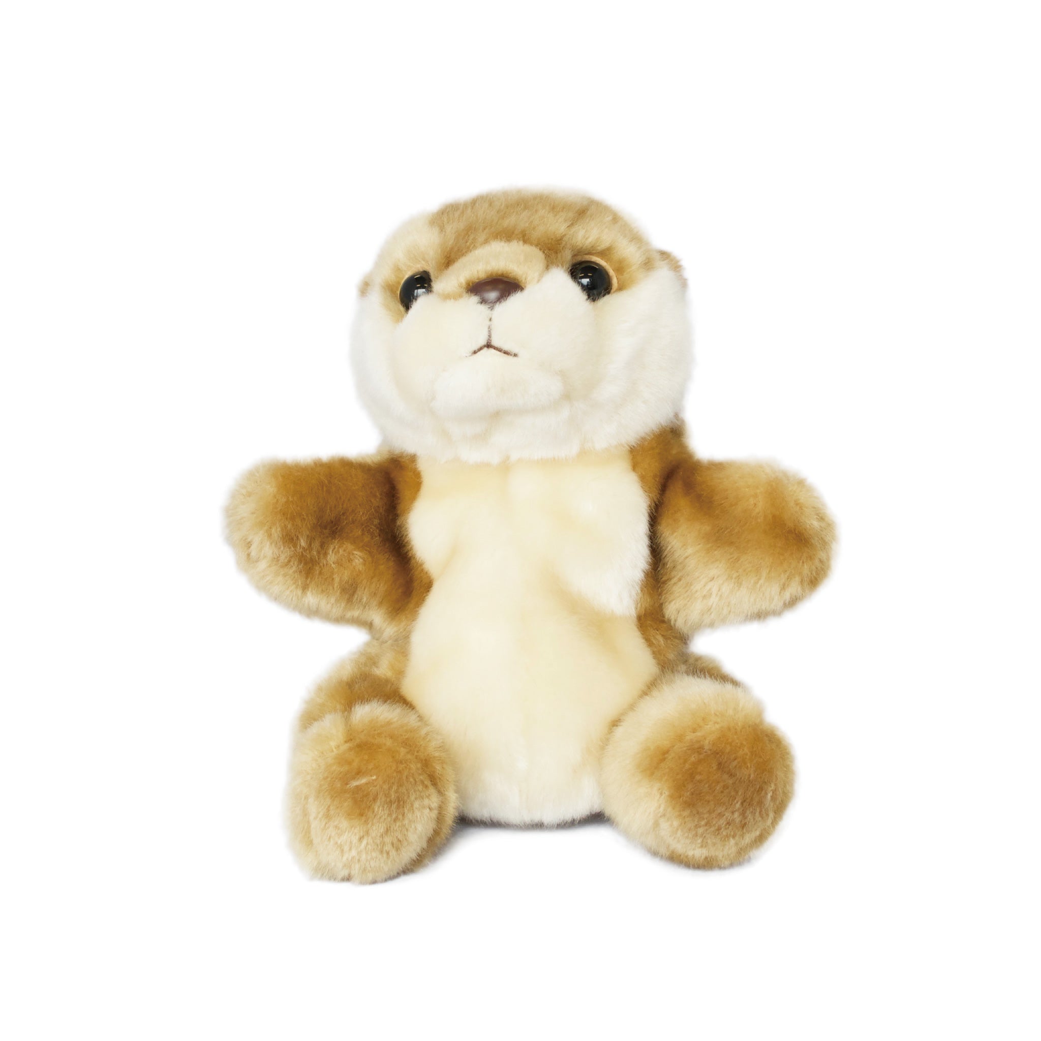 たっぷりハンドパペットコツメカワウソ